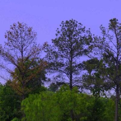 爱游戏下载手机版